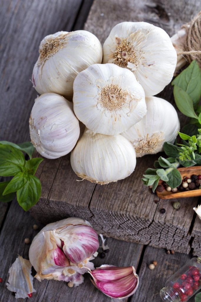 Garlic