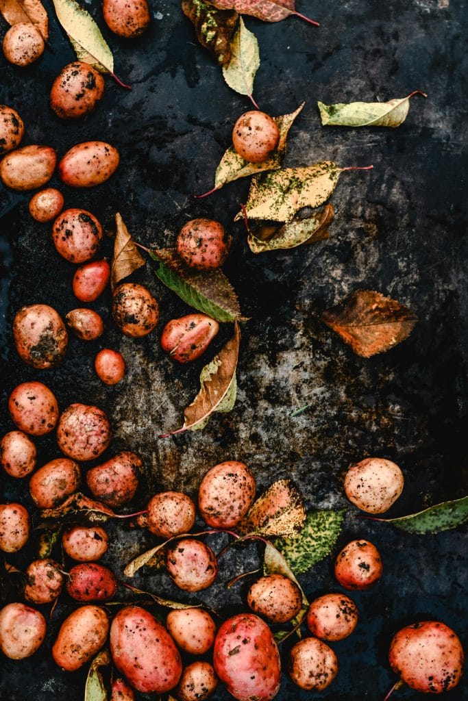 potatoes